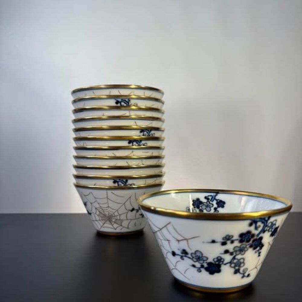 Spiderweb Porcelain Bowls 10pc Set